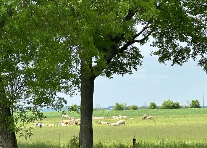 Апартаменты Petit Cocon En Campagne