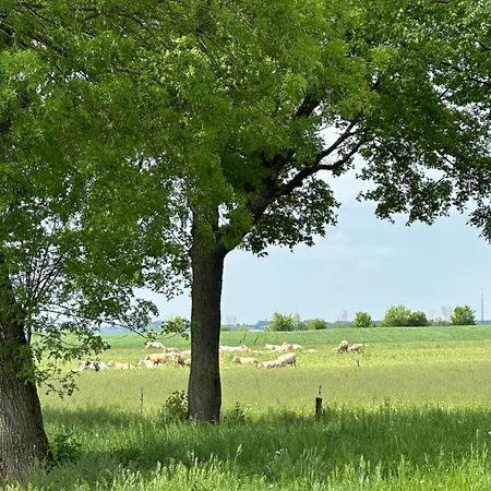 アパート Petit Cocon En Campagne